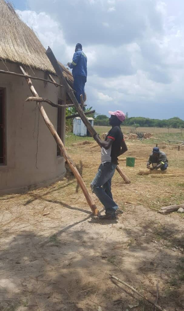 11. library hut building