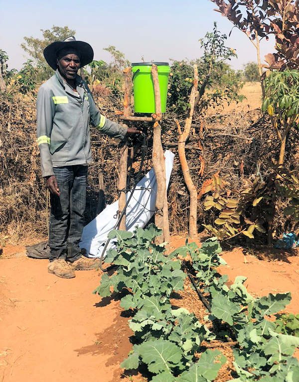 Irrigation System Bucket and Healthy Plants