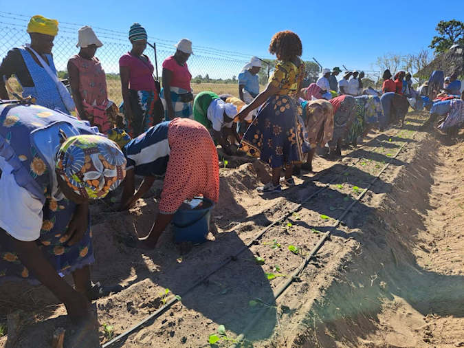 Irrigation and Planting