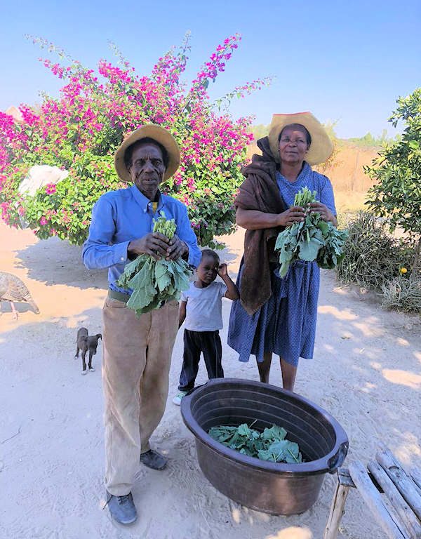 Villagers holding healthy plants