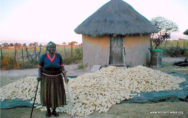 Woman with a large pile of corn