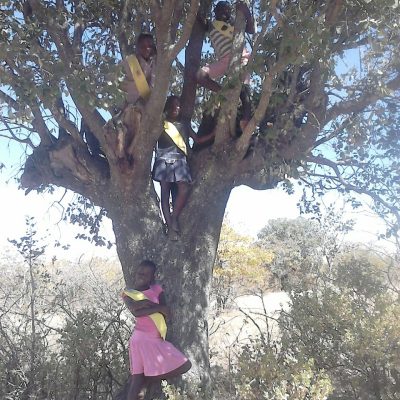 Love Climbing Trees!