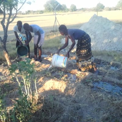 Learning about Permaculture with compost, watering and raised beds