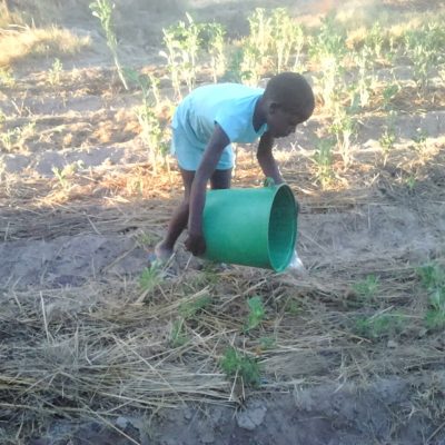 Learning permaculture Watering at the Community Center